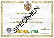yellow-belt-certificate