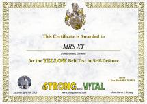 yellow Belt